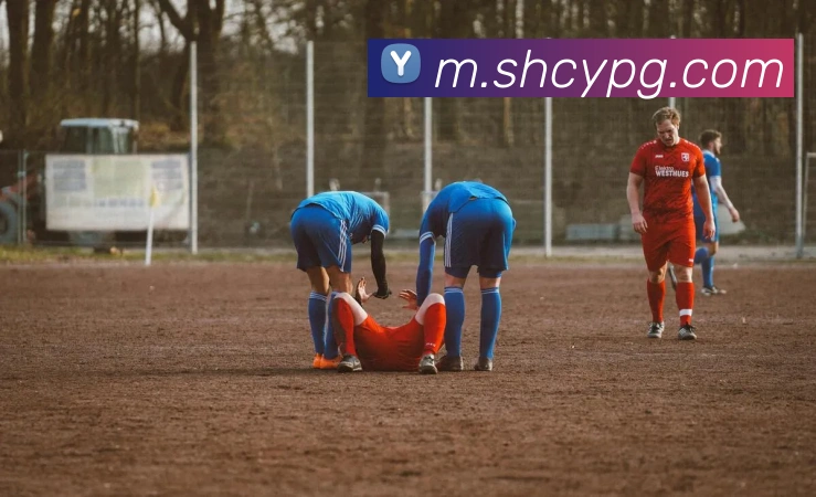 pg官网平台生态图