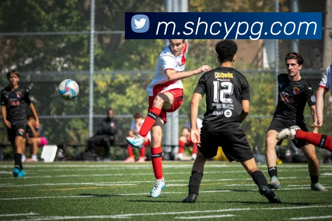 pg官网APP 封面图